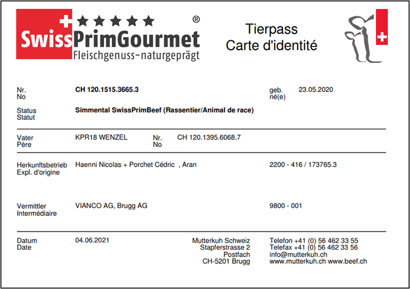 Carte d’identité modèle